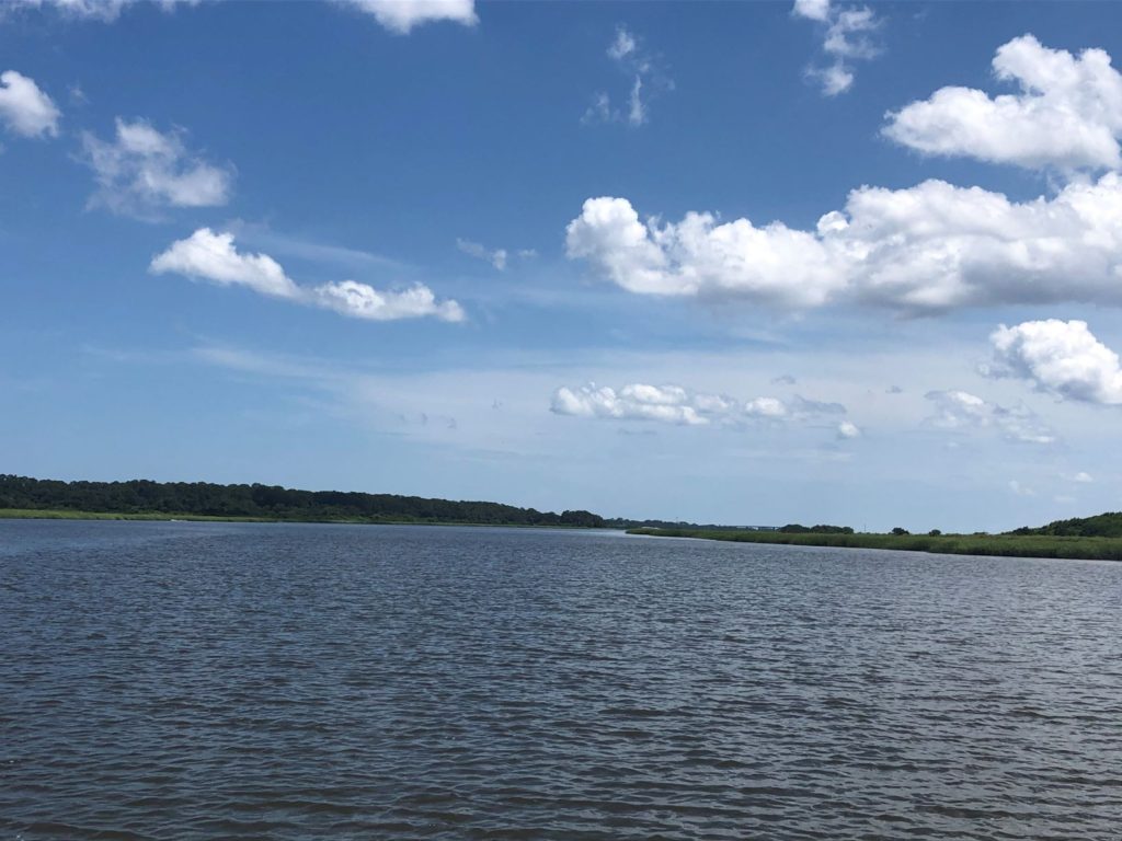 Junction of the ICW at Jekyll Island