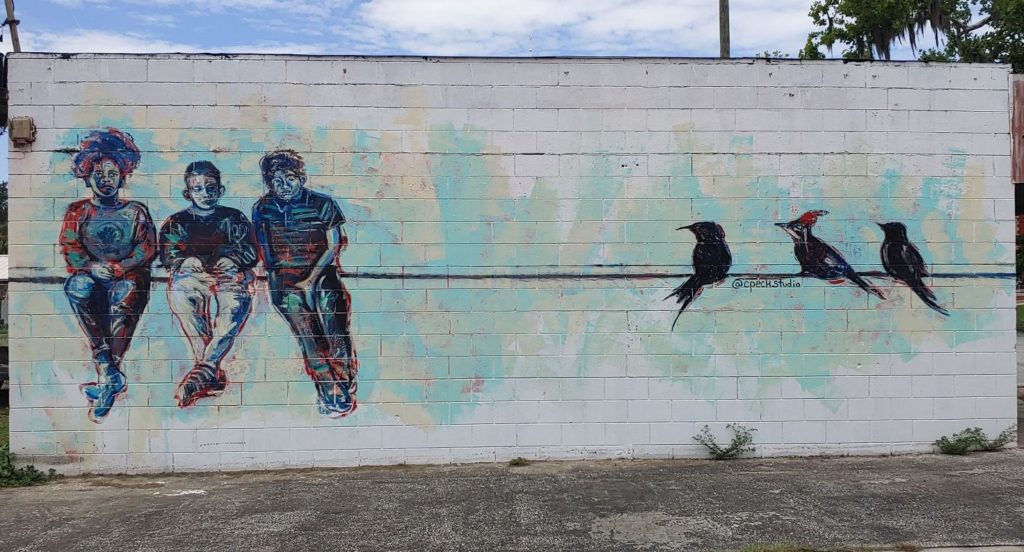 birds and boys sitting on a wire