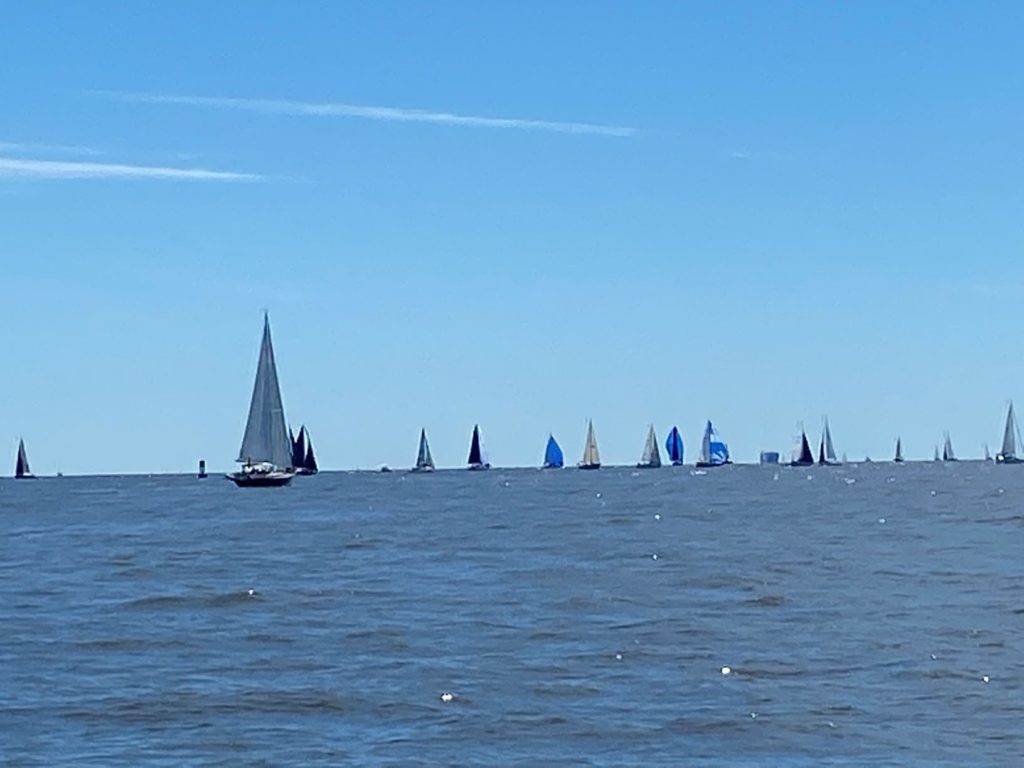 Sailing regatta on the Chesapeake