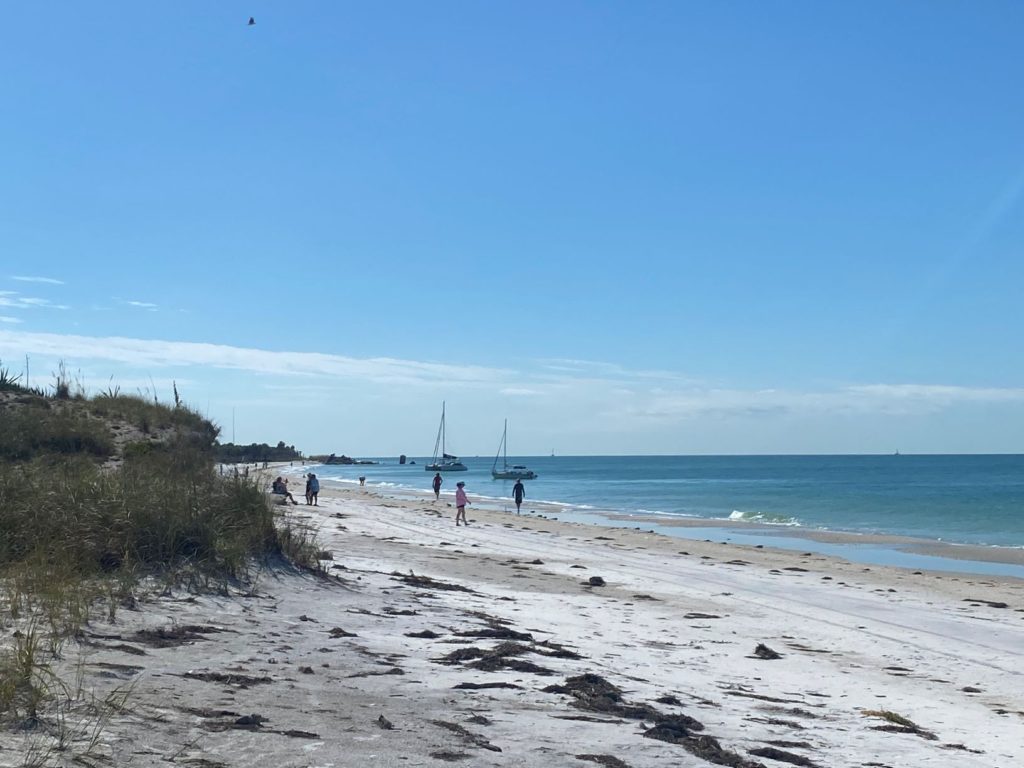 Egmont Key beach